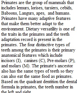 Primate Characteristics